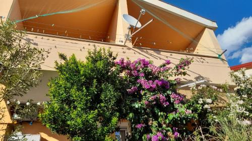 Cesarica Apartment | Apartmani Ivanković