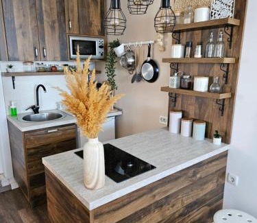 Southwestern Region Apartment | Apartmani Rustik Trpejca