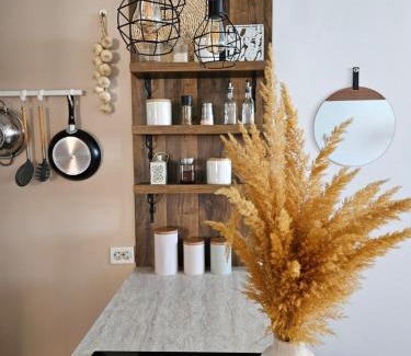 Southwestern Region Apartment | Apartmani Rustik Trpejca