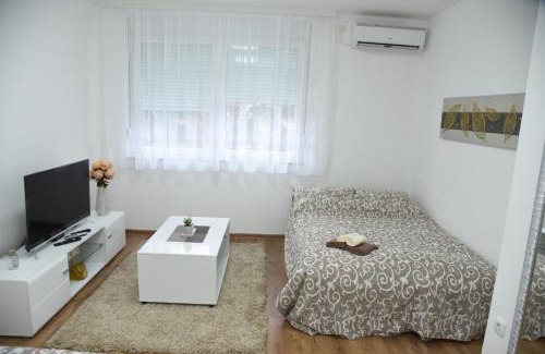 Loznica Apartment | Apartmani Sofronic Loznica 1