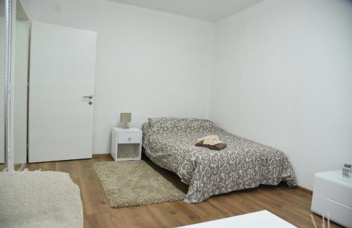 Loznica Apartment | Apartmani Sofronic Loznica 1