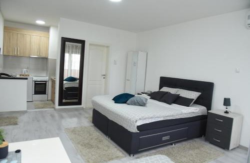 Loznica Apartment | Apartmani Sofronic Loznica 2