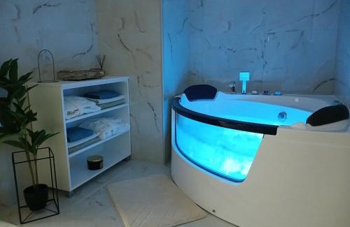 Loznica Apartment | Apartmani Sofronic Loznica 2