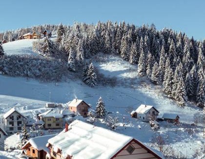 Ciganska Mahala Apartment | Apartmani Stefan Zlatar