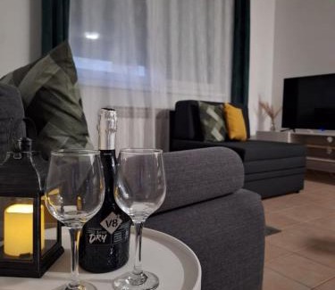 Vukovar Apartment | Apartmani Terra