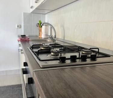 Suha Punta Apartment | Apartmani Viola Kampor