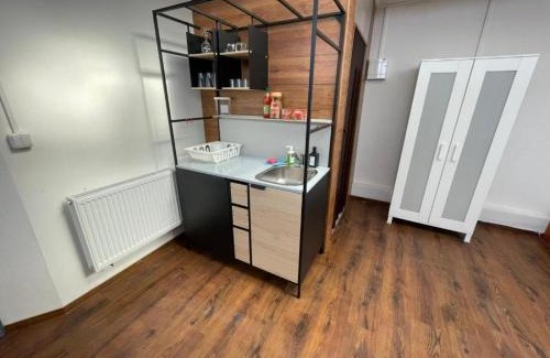 Golcuv Jenikov Apartment | Apartmans Turgenevova - Ostravska with FREE parking
