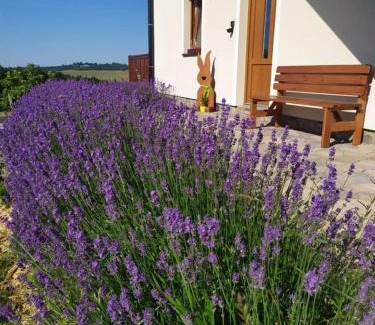 Vaclavov u Bruntalu Apartment | Apartmany Podhorama