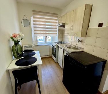 Javornik Apartment | ApartmanZ
