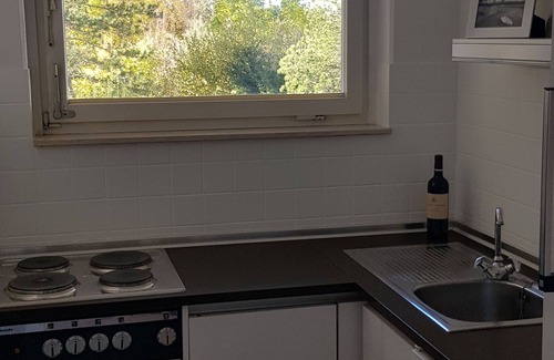 Seehausen am Staffelsee Apartment | "Apartments25" - Apartment "Little Birch" - 150 meters to the lake