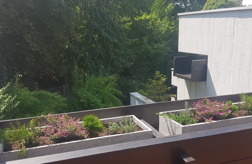 Seehausen am Staffelsee Apartment | "Apartments25" - Apartment "Little Birch" - 150 meters to the lake