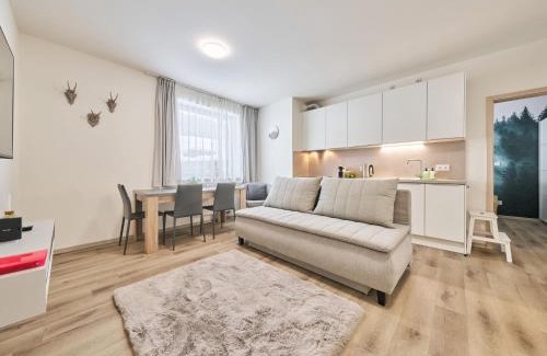 Cerny Dul Apartment | Apartment Černý Důl-4 by Interhome