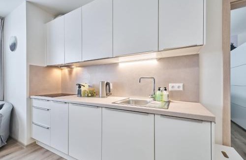 Cerny Dul Apartment | Apartment Černý Důl-4 by Interhome