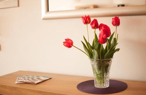 Dakovo Apartment | Apartment Đakovo