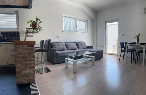 Vipava Apartment | Apartment Štucin