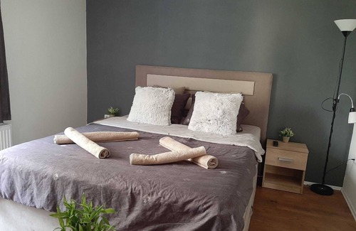 Leskovac Apartment | Apartment Živković - Peaceluf