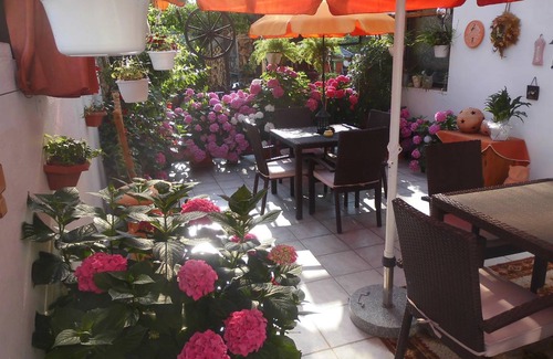 Detzem Apartment | Apartment ∙ 1 bedroom ∙ 4 guests