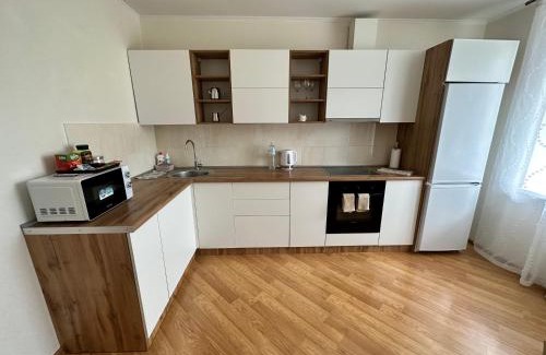 Lenins'kyi district Apartment | Apartment 1, Podillya
