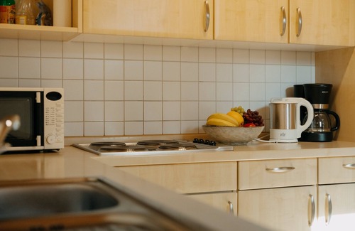 Witzmannsberg Apartment | Apartment-2 im EG-Terrace-Private Bathroom