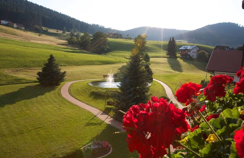 Tonbach Apartment | Apartment '21' with Mountain View, Private Terrace and Wi-Fi