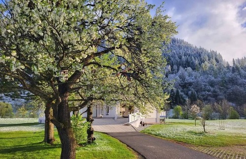 Ranten Apartment | Apartment 3 - Landhaus Zitz