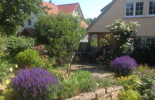 Walkenried Apartment | Apartment 3 (with winter garden) - Apartments Haus Presse