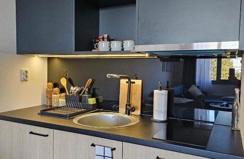 Jahorina Apartment | Apartment 308 in aparthotel Zlatni Javor - private host