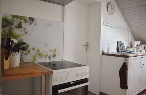Rudolstadt Apartment | Apartment 4/guest house Mondschein