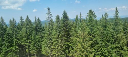 Jahorina Apartment | Apartment 505 - Zlatni javor