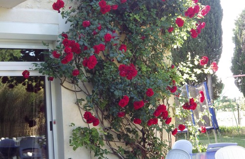 Caderousse Apartment | Apartment 6 people in an authentic Provencal Mas with large swimming pool