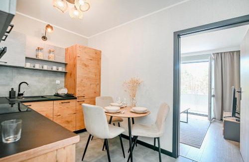 Modrzyca Apartment | Apartment 93B