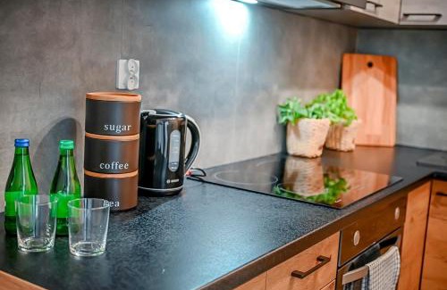 Modrzyca Apartment | Apartment 93B