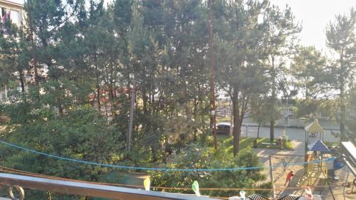 Kobuleti Apartment | Apartment Agmashenebeli 99
