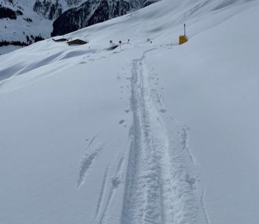 Inneralpbach Apartment | Apartment Alpbachtraum