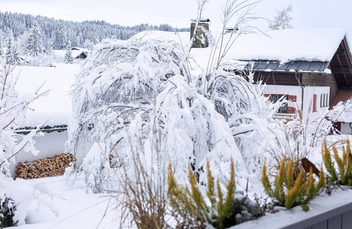 Oberstaufen Apartment | Apartment 'Alpen Art Chalet' with Mountain View, Shared Garden and Wi-Fi