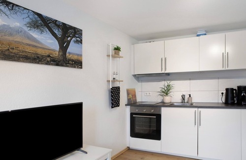 Alsfeld Apartment | Apartment 'Alsfelder Wein-Suite' with Wi-Fi
