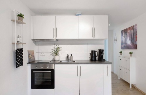 Alsfeld Apartment | Apartment 'Alsfelder Wein-Suite' with Wi-Fi