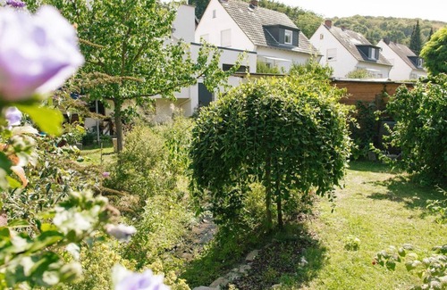 Brey Apartment | Apartment "Am Breyer Talbach" - Apartment