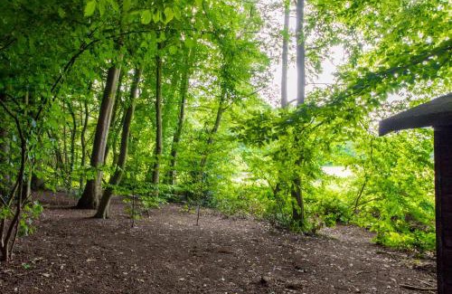 Region Hannover District Apartment | Apartment am Bullerbach Deister