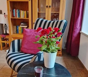 Bad Gottleuba Apartment | Apartment Am Markt 4