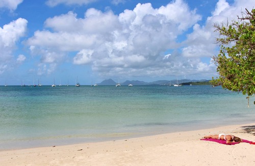 Sainte-Anne Apartment | Apartment Amaryllis (500 m from the Pointe Marin BEACH)