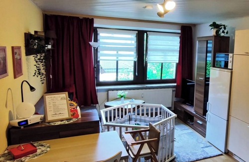Gruenhain-Beierfeld Apartment | Apartment 'Ansimali Erdgeschoss' family and pet friendly