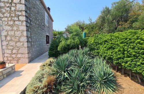 Broce Apartment | Apartment Ana Broce