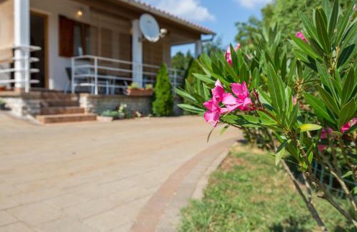 Becici Apartment | Apartment Ana