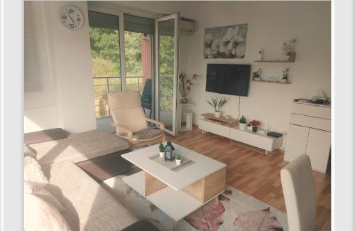 Elshani Apartment | APARTMENT ANA v-Peshtani