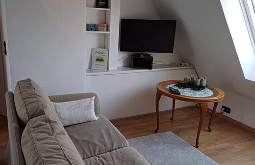 Moelln Apartment | Apartment Andreae - Apartment with bathroom/kitchenette