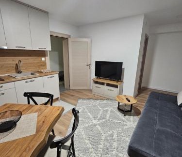 Donje Polje Apartment | Apartment Anita Cetinje