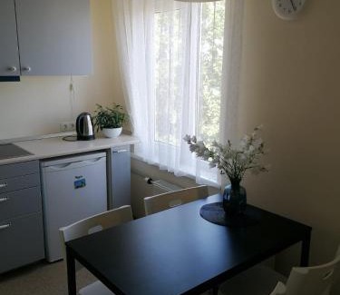 Saldus Apartment | Apartment Anna