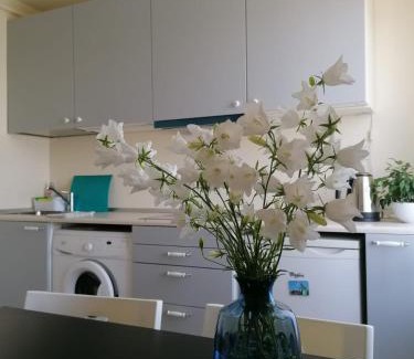 Saldus Apartment | Apartment Anna