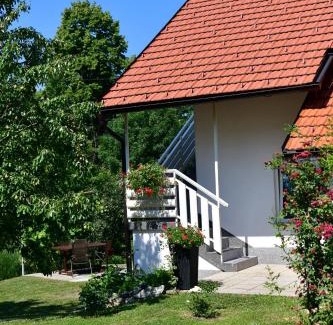 Catrnja Apartment | Apartment Anna Maria